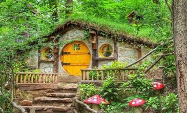 Batı Karadeniz 2 Gece 