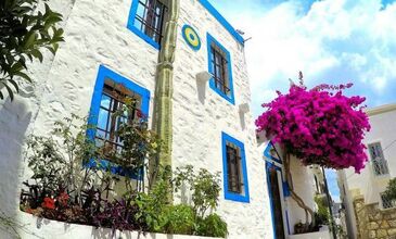 Bodrum - Gümüşlük -Gümbet -  Yel Değirmenleri - Marina Turu (Günübirlik)