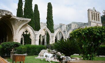 Kıbrıs Turu 