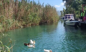 Günübirlik Marmaris-Datça-Akyaka Turu