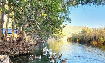 Günübirlik Marmaris-Datça-Akyaka Turu