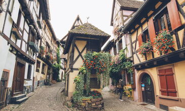 Noel Zamanı Grand Alsace Turu 